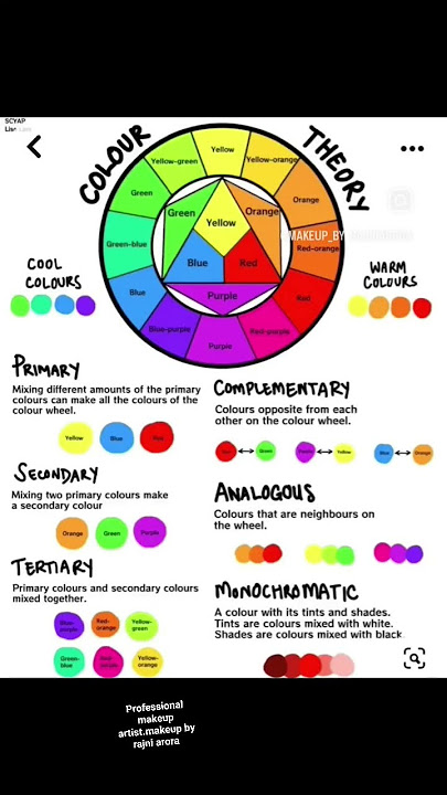 colour wheel knowledge      pro.makeup by rajni arora