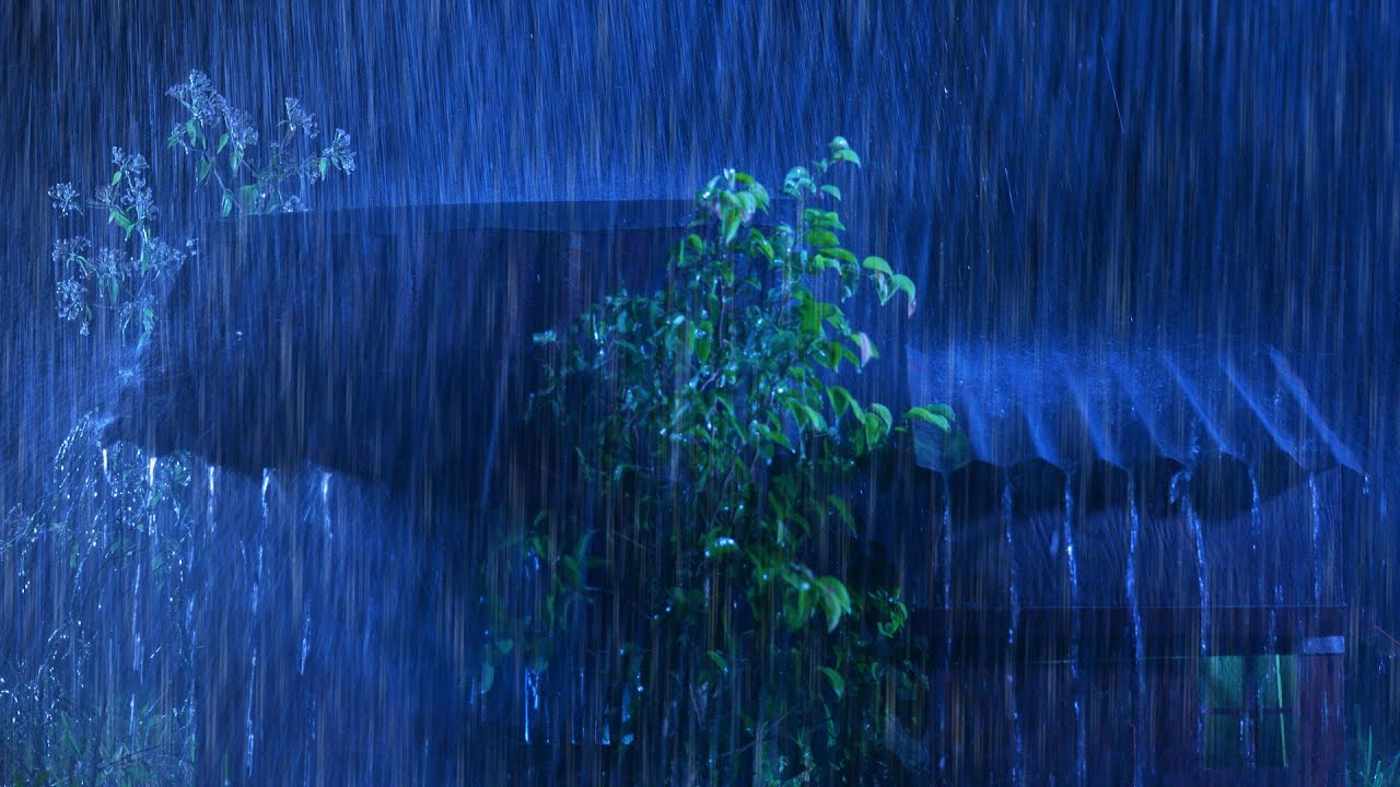10 00 00 дождь. Дождь ночью. Rain. Autumn Rain Melancholy Night Forever 2002 обложка. Rain code Thunderbolt.