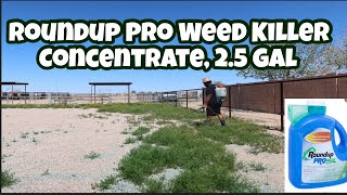 Roundup Pro Weed Killer Concentrate, 2.5 Gal review.. Weed killing and cutting my tree #zulunation
