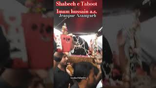 Shabeeh e taboot Imam husain a.s. #arbaeen2023 #jiyanpur #azamgarhazadari #short