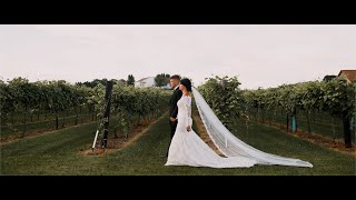 Gorgeous Vinyard Wedding  Iowa Wedding   Tycoga Vineyard And Winery