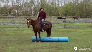 flying lead changes over a jump exercise level 3