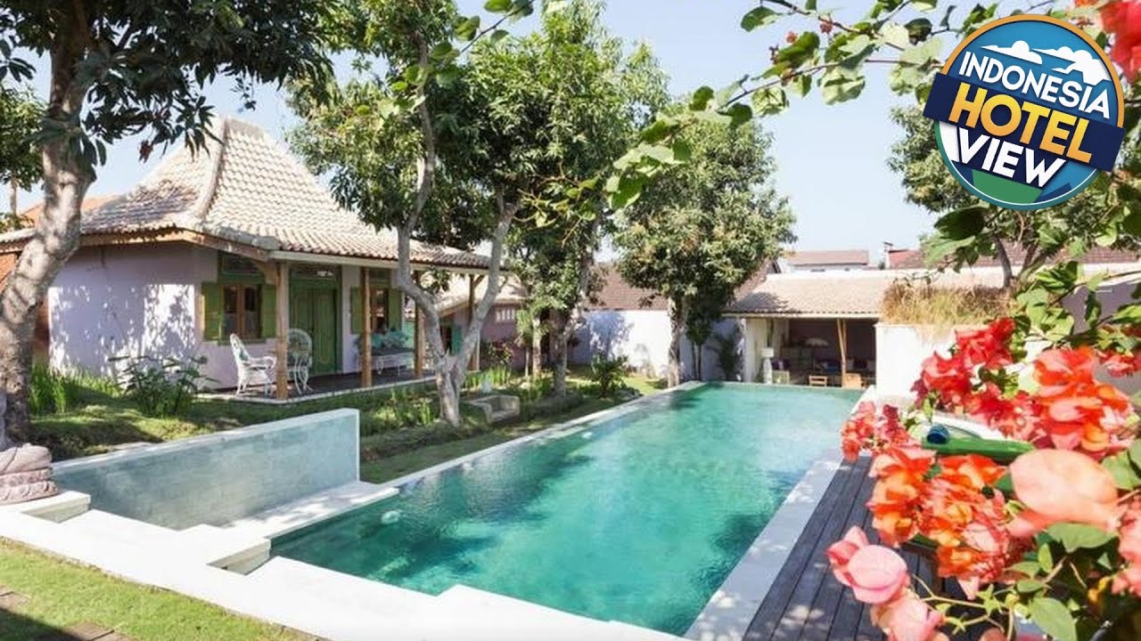 Guesthouse Mooz | Bali, Indonesia | Hotel Review 🛏️