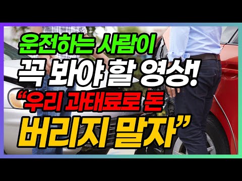 이거 몰라서 운전하다 과태료로 돈 버리지말자!