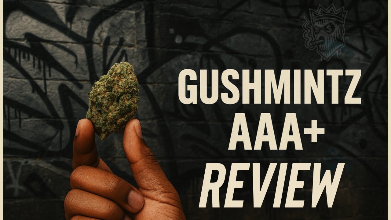 Gushmintz AAA+ THCA Strain Review 🔥 | Frosty Exotic from CheapTHCA!