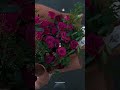Saasien Song Viral Whatsapp Theme Sohinimishra Viral Ringtone 