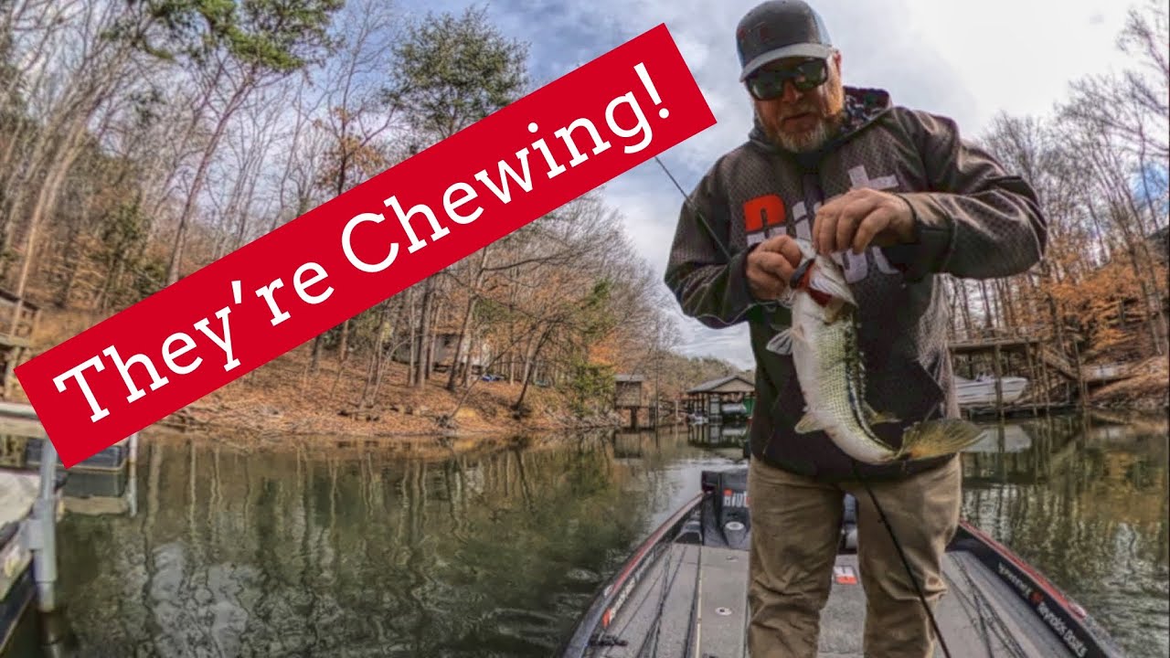 Winter Bass Fishing on Lake Norman is Revolting