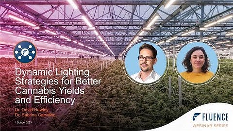 Dynamic Lighting in Cannabis Cultivation Strategies That Work | Fluence European Webinar
