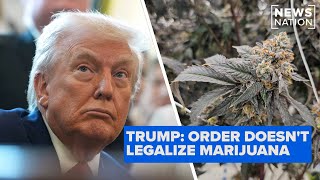 Celebrity President Trump downgrades marijuana to schedule 3 | Elizabeth Vargas Reports Wealth