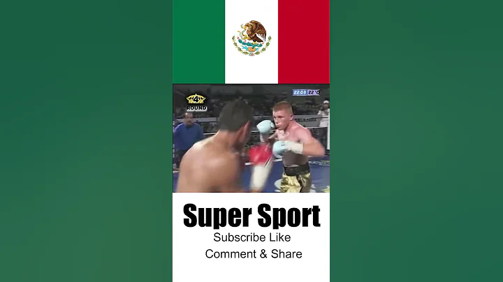 Saul Canelo Alvarez VS Francisco Villanueva 2 - 3/...