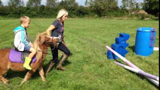 Details Horse Jump Fail Update