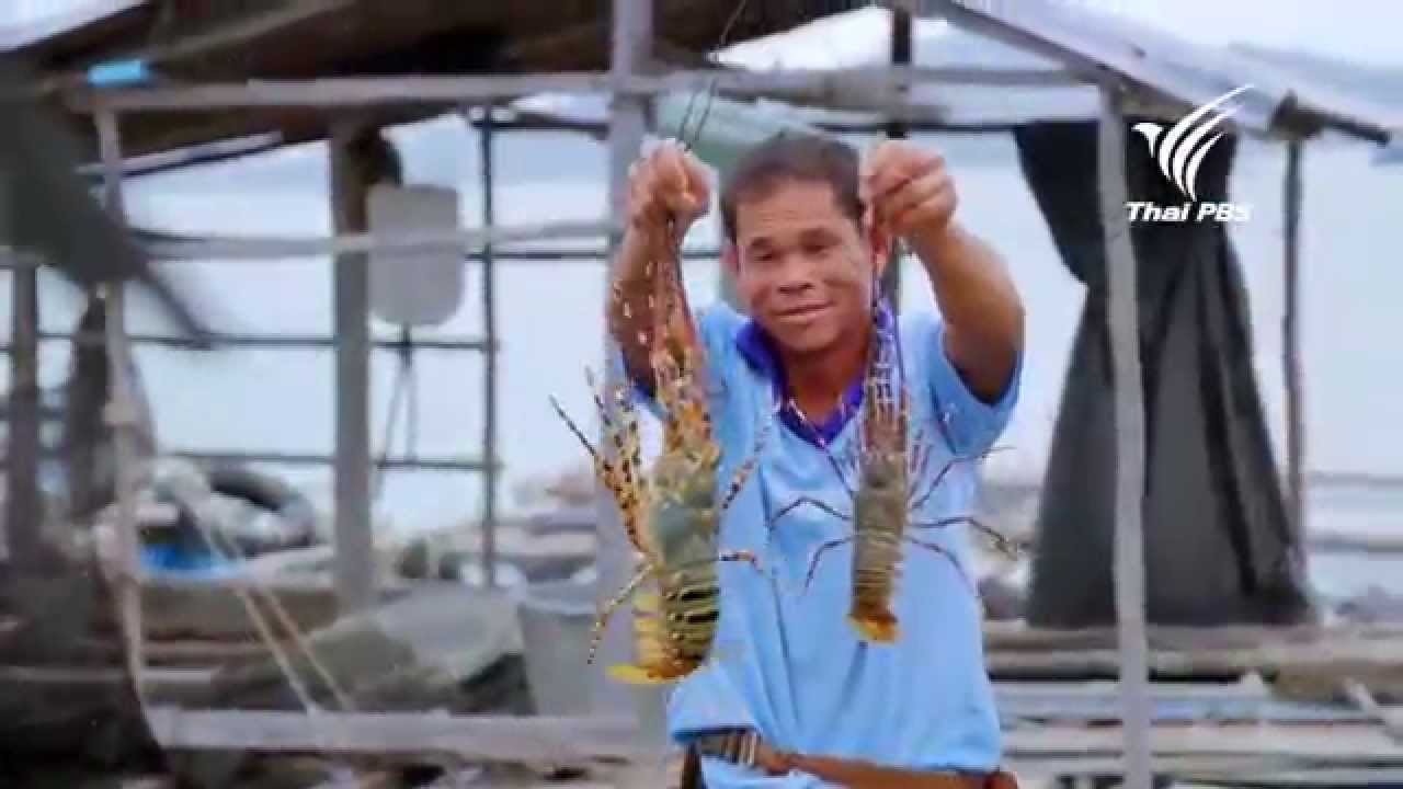 Foodwork กุ้งมังกร : 29 มี.ค. 58 (HD)