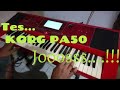 Korg pa 50 rasa sampling