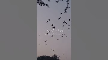 {أَفَلَا يَنظُرُونَ إِلَى ٱلۡإِبِلِ كَيۡفَ خُلِقَتۡ} القارئ عبدالرحمن مسعد - Abdul Rahman Massad 🎧💙