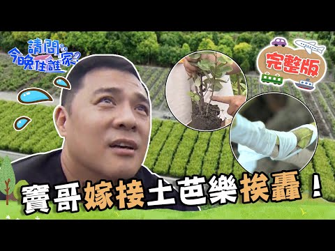 台遊-請問 今晚住誰家-EP 787-【彰化】