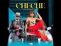 Zuchu Ft Diamond - CHECHE (lyrics video)