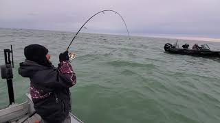 Niagara Bar Lake Trout
