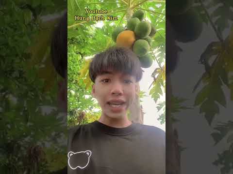 #1 Có 14k Vàng Nên Mua Tướng Nào...??? Mới Nhất 1 #1 Có 14k Vàng Nên Mua Tướng Nào…??? Mới Nhất