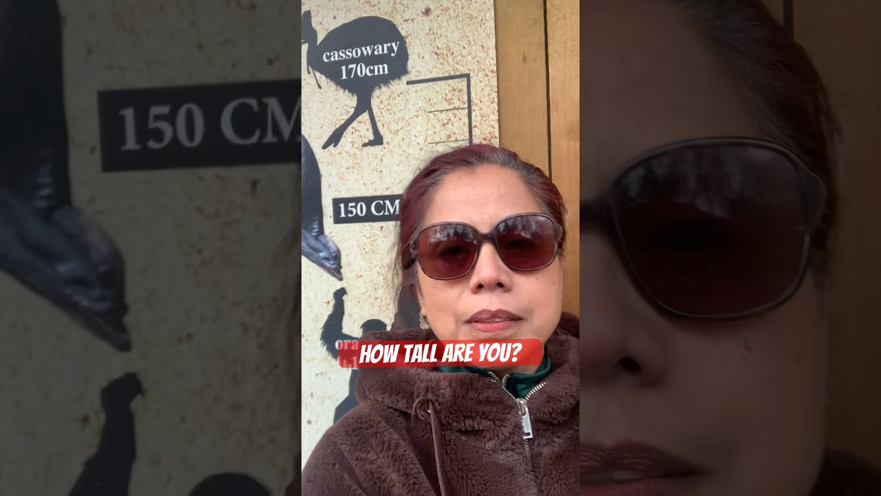 Bird’s height vs my height 