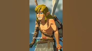 LINK TALKS IN TEARS OF THE KINGDOM!?
