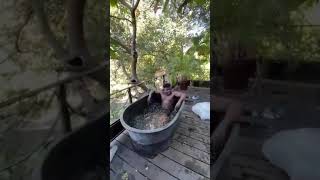 Ice Bath Challenge With Asafa Powell Gone Wrong🤣🤣🤣🤣🤣