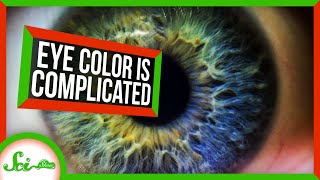 We Found a Bunch of New Eye Color Genes | SciShow News screenshot 1