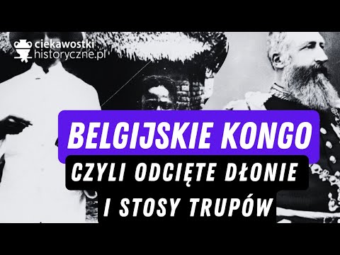 Wideo: Choroby psów, które powodują siniaki