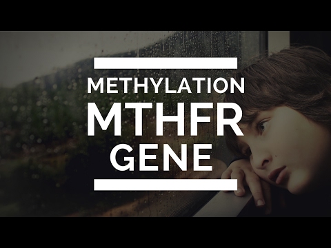 MTHFR gene mutation - EASY TO UNDERSTAND- Methylation - What are MTHFR mutation symptoms?