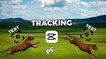 Hoe je bewegende objecten met tekst in CapCut kunt volgen (eenvoudige tutorial!)🪐