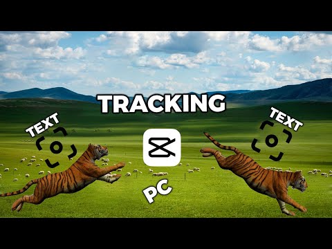 How to Track