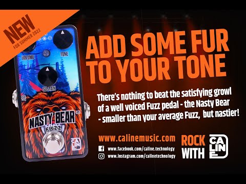 ギター Caline G014 Nasty Bear Amazon.com: Caline G014 Nasty Bear Classic Fuzz Guitar