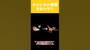 ファイアロー入手場所