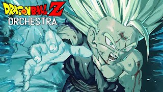Day Of Fate [Spirit Vs Spirit] - Dragon Ball Z Epic Orchestra