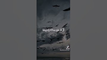 ألم ترَ أن الله يُسَبِّحُ لَهُ مَن فِي السَّمَاوَاتِ وَالأَرْضِ - سورة النور أحمد خضر