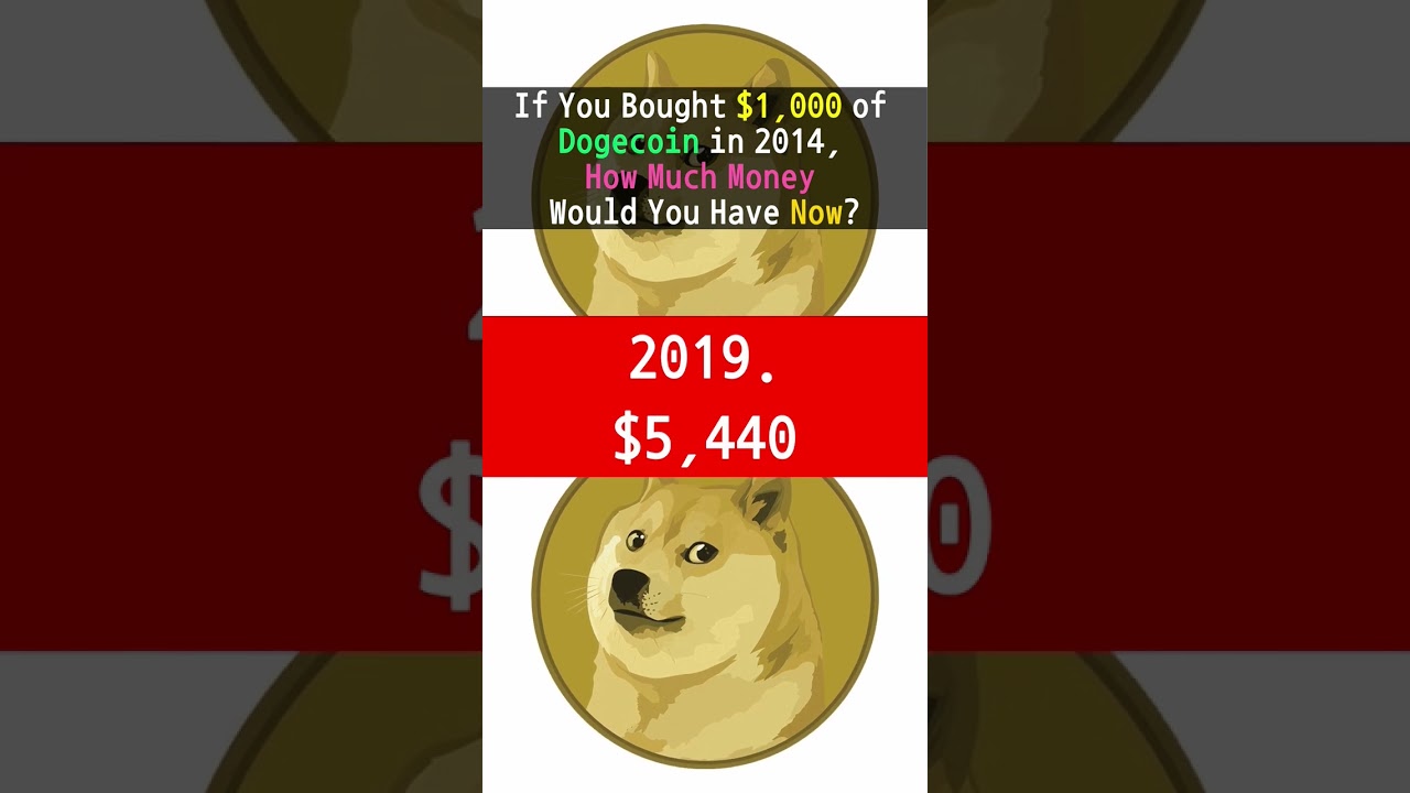 If You Bought $1,000 of Dogecoin in 2021, How Much Money Would You Have Now? 