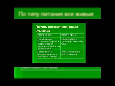 Биогеоценоз. 9класс.