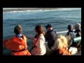 Shark Cage Diving Gansbaai - 160th anniversary of the Birkenhead disaster - Marine Dynamics