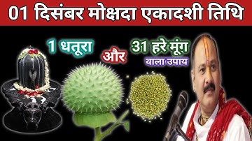 1 दिसंबर मार्गशीर्ष सोमवार मोक्षदा एकादशी के दिन 1 धतूरा और 31 हरे मुंग वाला उपाय जरुर करें।Pradeep 