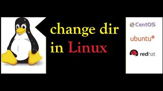 Learn How to Instantly Change Directories in Linux | Dailystudy screenshot 4