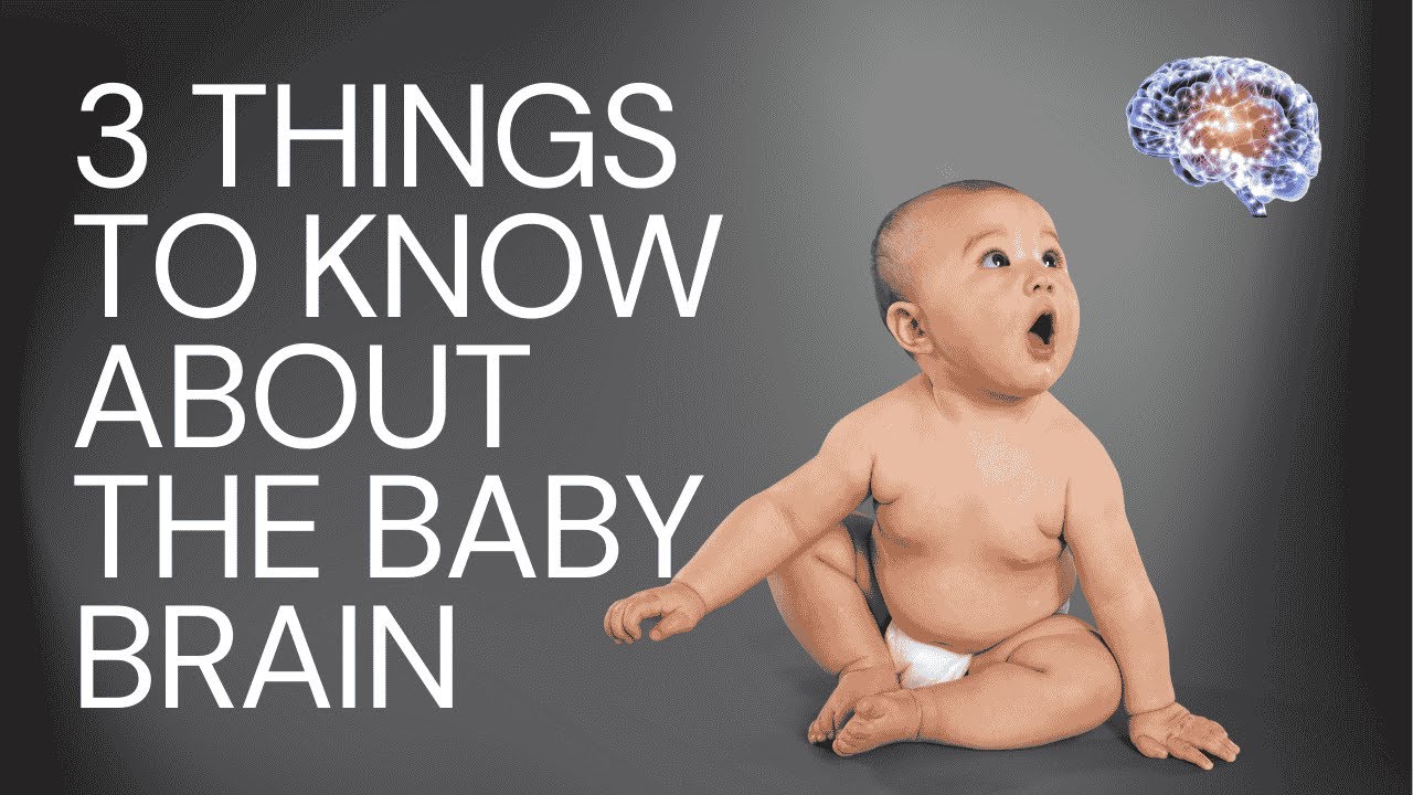 What happens during child brain development - YouTube