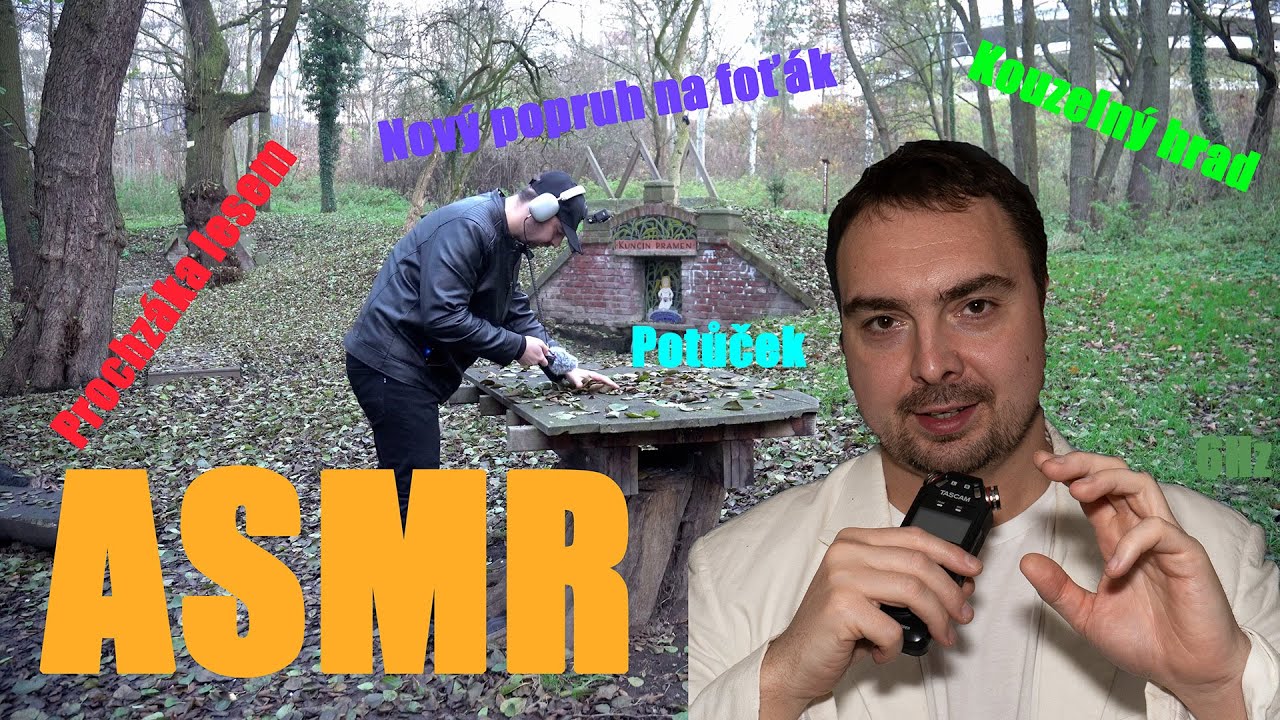 TOTO místo v Plzni tě uspí během minut 😴 | ASMR procházka lesem, mlha u Hradu Radyně