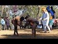 Parminder patti vs razak malerkotla  super fast special kushti