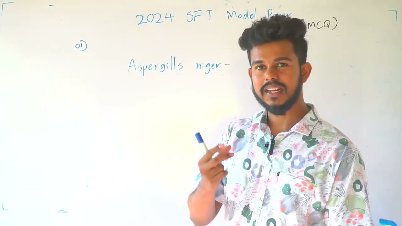 SFT 2024 Model paper Discussion