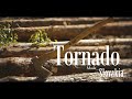 Самый лучший  Топор для леса Tornado. производитель Slovakia.