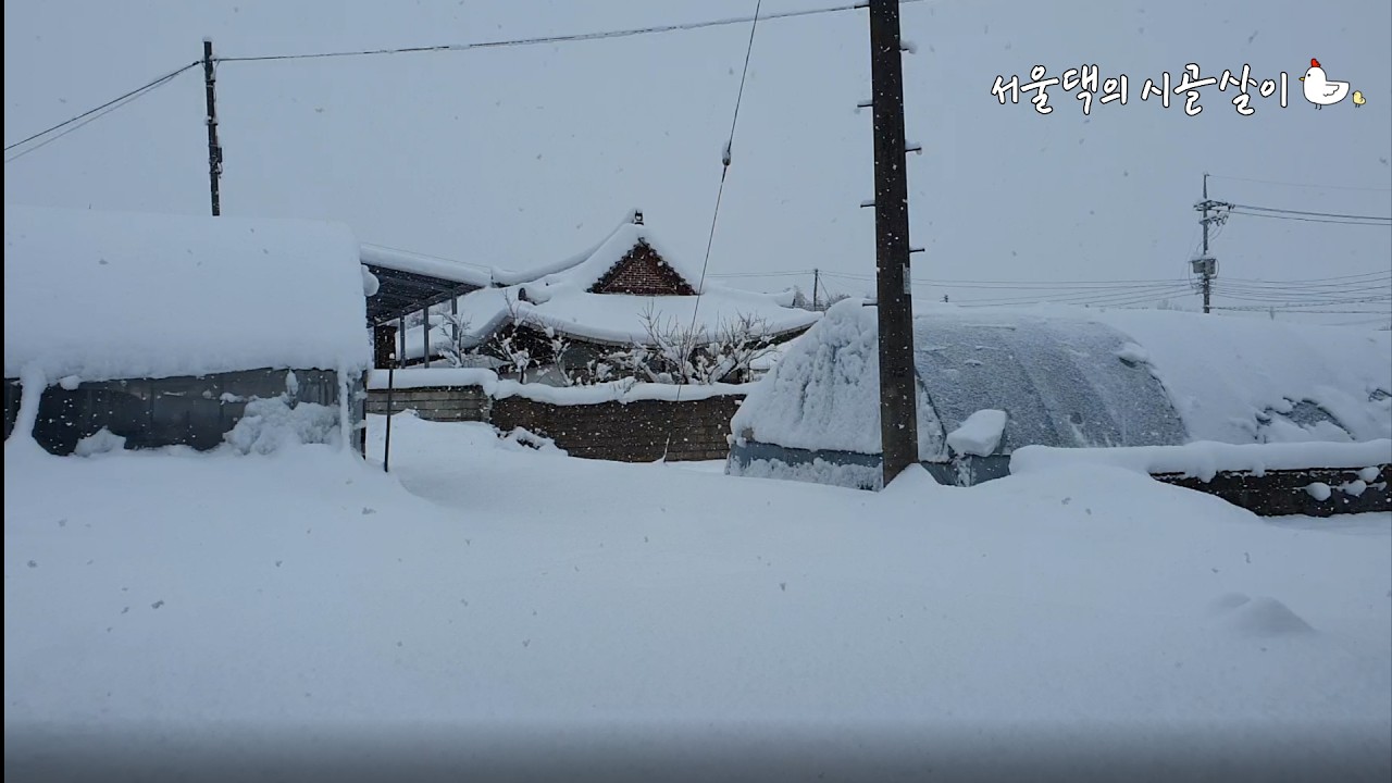 20년 당뇨 남편의 식탁에 매일 올라가는 ‘이것’, 서울댁이 시골로 온 진짜 이유