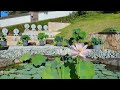 蓮の永代供養墓　生蓮寺（しょうれんじ）奈良県五條市