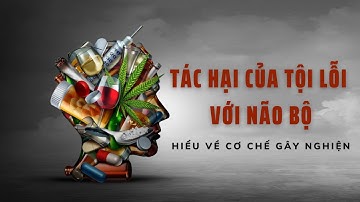 TÁC HẠI CỦA TỘI LỖI VỚI NÃO BỘ // HIỂU VỀ CƠ CHẾ GÂY NGHIỆN