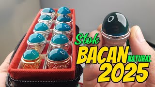 Update Stok Bacan Natural 2025