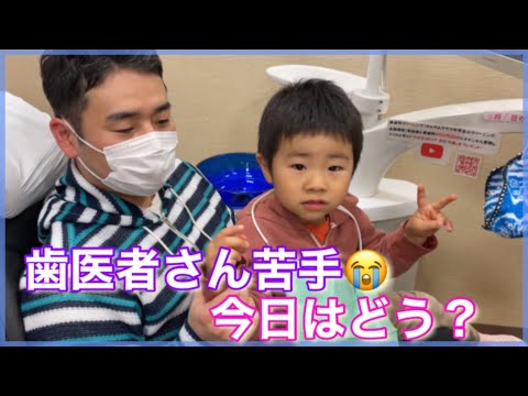 歯科苦手な3歳🥲　今日は頑張るよ！原歯科医院　【調布市　布田駅　八雲台】