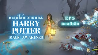 Harry potter magic awakened Ep5 ดวลป่าลึก (แบบเก่า) สายดาเมจคาถา เลือกบัพยังไงดี?